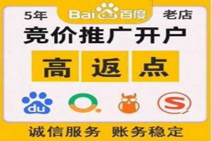 百度推广排名大揭秘：某电商平台的成功之路